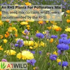 A1WILD UK Native 100% Wildflower Seed Mix -Garden & Outdoors Shop 3 9