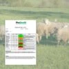 Paddock Soil Analysis For Sheep Grazing - All Nutrients
