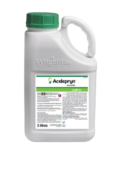 Acelepryn - Leatherjacket And Chafer Grub Control