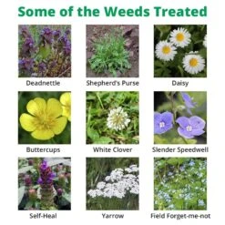 Dicophar - Selective Lawn Weed Killer -Garden & Outdoors Shop dicophar extra