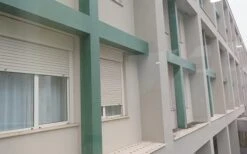 Bird Free - Immediate Bird Control Without Causing Harm - Pack Of 15 -Garden & Outdoors Shop dishes on window sill