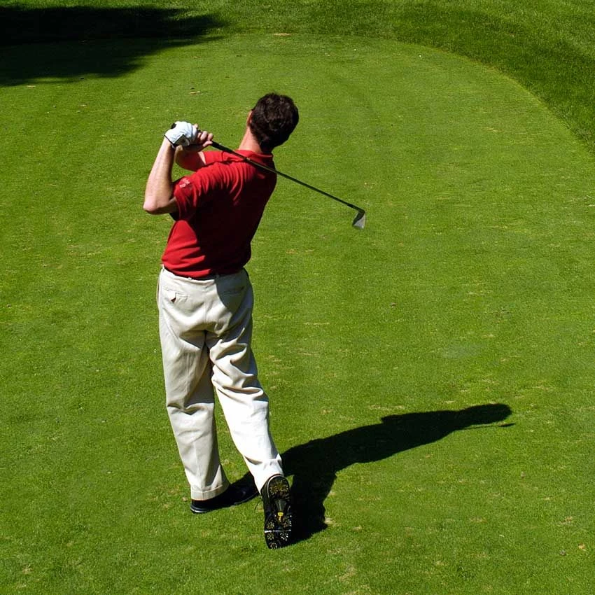 A1 Sports - Golf Green Grass Seed 5kg 2 A1 Sports - Golf Green Grass Seed 5kg - Image 2