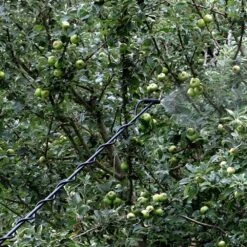 Matabi Telescopic Spraying Lance - C/w Adaptor For Cooper Pegler Triggers -Garden & Outdoors Shop matabi telescopic lance 2