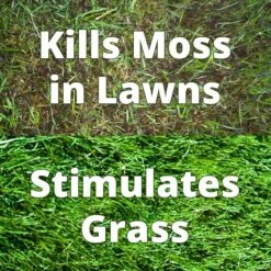 Maxicrop No 2 Moss Killer & Conditioner - 10L -Garden & Outdoors Shop maxicrop 2 1