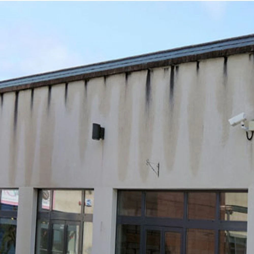 MetaClear - Removes Black Fungal Staining On Walls, Render & Masonry 2 MetaClear - Removes Black Fungal Staining On Walls, Render & Masonry - Image 2