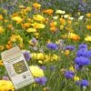 Amvista Buckingham Blooms Pure Wildflower Mix 100%