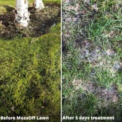 MossOff Chemical Free Lawn 5L-Moss Control For Lawns & Turf -Garden & Outdoors Shop new mossoff b4