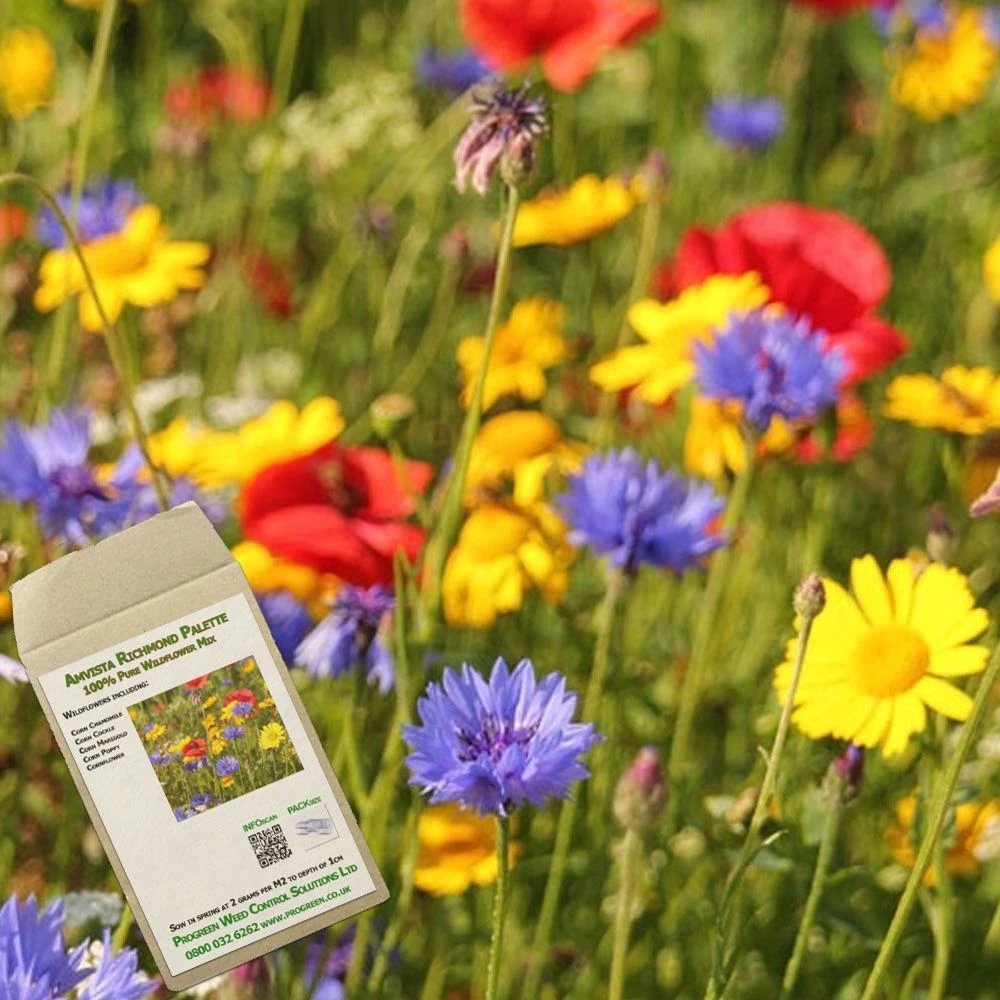 Amvista Richmond Palette Pure Wildflower Mix 100% 1 Amvista Richmond Palette Pure Wildflower Mix 100%