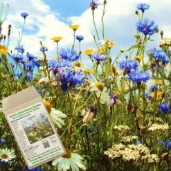 Amvista Sandringham Summer Grass & Wildflower Mix 80/20