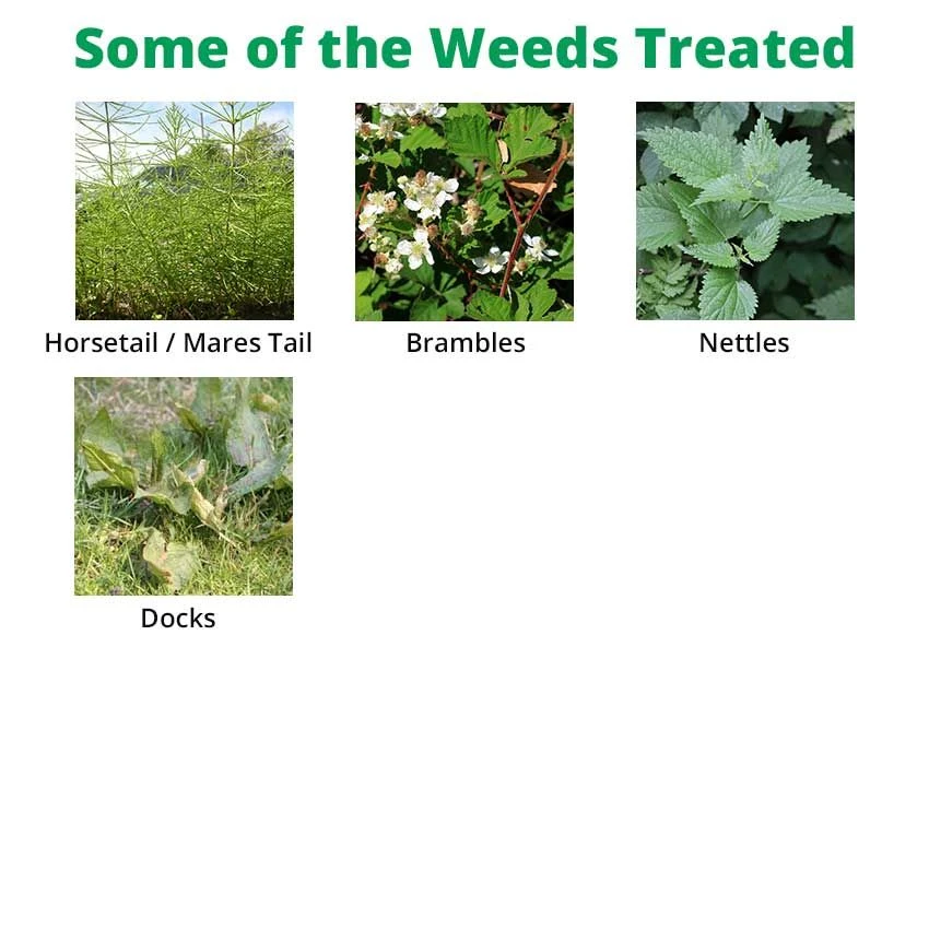 SBK Brushwood Killer 1 L - For Control Of Tough Woody Weeds 3 SBK Brushwood Killer 1 L - For Control Of Tough Woody Weeds - Image 3