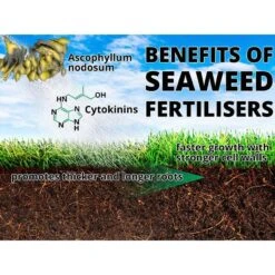 Maxicrop No 2 Moss Killer & Conditioner - 10L -Garden & Outdoors Shop seaweed benefit 9