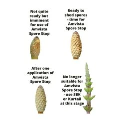 Amvista Spore Stop 250ml - Reduces Spread Of Horsetail